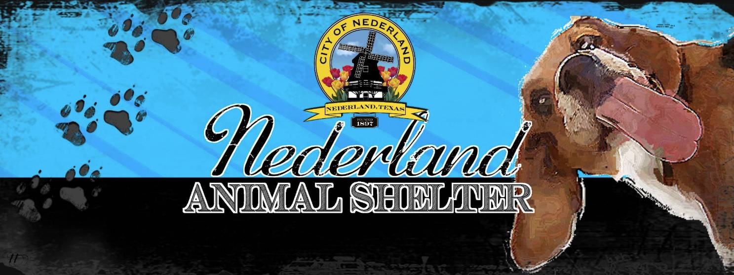 Screenshot 2025-06-04 093758 - Copy